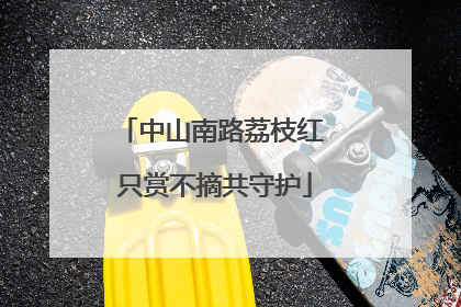 中山南路荔枝红 只赏不摘共守护
