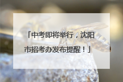中考即将举行，沈阳市招考办发布提醒！