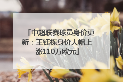 中超联赛球员身价更新：王钰栋身价大幅上涨110万欧元