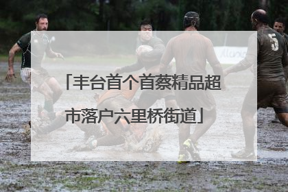 丰台首个首蔡精品超市落户六里桥街道