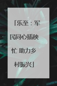 乐至：军民同心插秧忙 助力乡村振兴