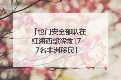 也门安全部队在红海西部解救177名非洲移民