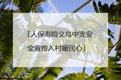人保寿险义乌中支安全宣传入村暖民心
