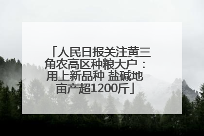 人民日报关注黄三角农高区种粮大户：用上新品种 盐碱地亩产超1200斤