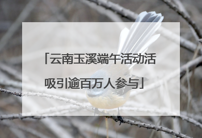 云南玉溪端午活动活吸引逾百万人参与