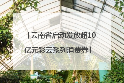 云南省启动发放超10亿元彩云系列消费券