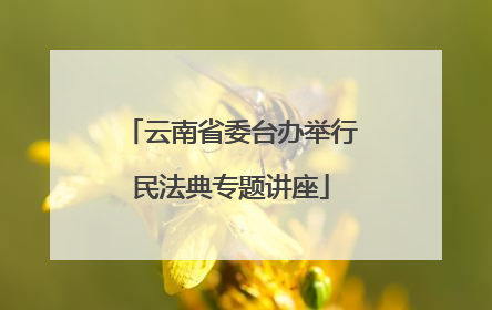 云南省委台办举行民法典专题讲座