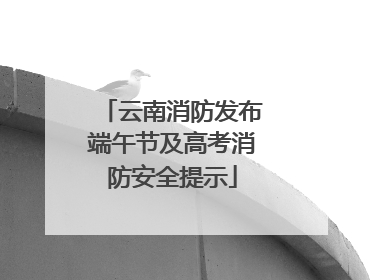 云南消防发布端午节及高考消防安全提示