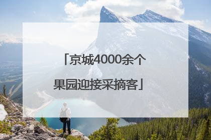 京城4000余个果园迎接采摘客