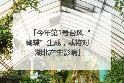 今年第1号台风“蝴蝶”生成，或将对湖北产生影响