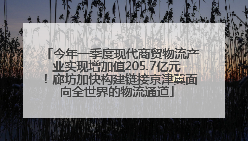 今年一季度现代商贸物流产业实现增加值205.7亿元！廊坊加快构建链接京津冀面向全世界的物流通道