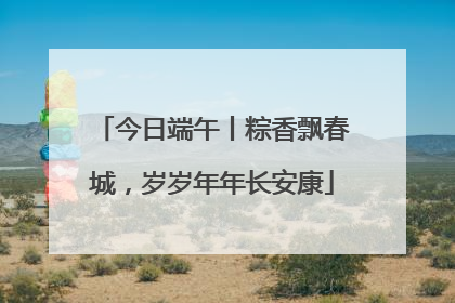 今日端午丨粽香飘春城，岁岁年年长安康