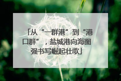 从“一群港”到“港口群”，盐城港向海图强书写崛起壮歌