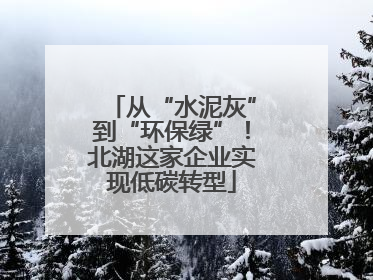 从“水泥灰”到“环保绿”！北湖这家企业实现低碳转型
