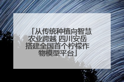 从传统种植向智慧农业跨越 四川安岳搭建全国首个柠檬作物模型平台