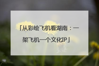 从彩绘飞机看湖南：一架飞机一个文化IP