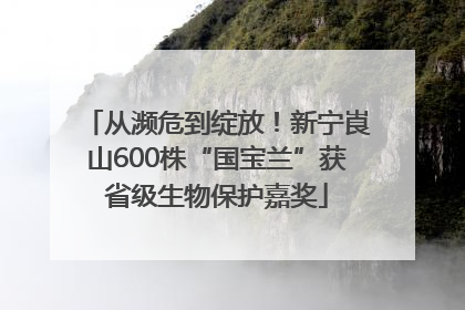 从濒危到绽放！新宁崀山600株“国宝兰”获省级生物保护嘉奖