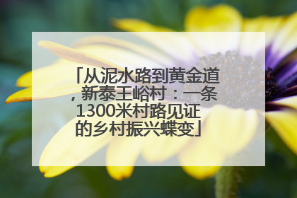 从泥水路到黄金道，新泰王峪村：一条1300米村路见证的乡村振兴蝶变