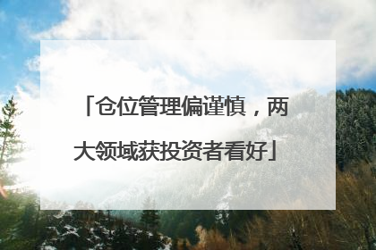 仓位管理偏谨慎，两大领域获投资者看好