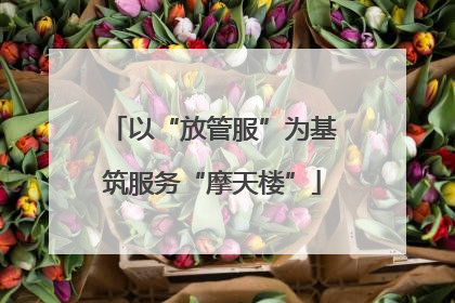 以“放管服”为基筑服务“摩天楼”