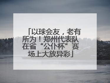 以球会友，老有所为！郑州代表队在省“公仆杯”赛场上大放异彩