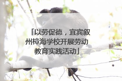 以劳促德，宜宾叙州樟海学校开展劳动教育实践活动