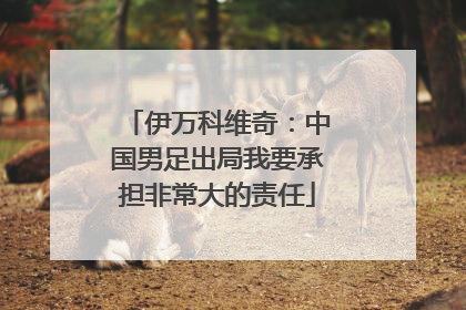 伊万科维奇：中国男足出局我要承担非常大的责任