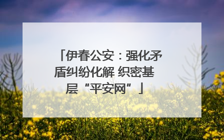 伊春公安：强化矛盾纠纷化解 织密基层“平安网”