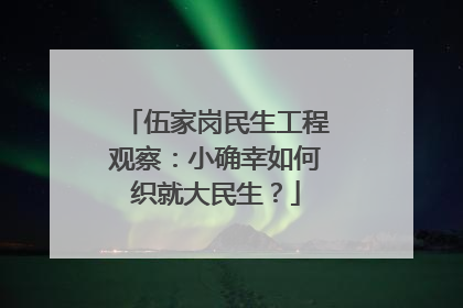 伍家岗民生工程观察：小确幸如何织就大民生？