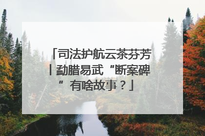 司法护航云茶芬芳丨勐腊易武“断案碑”有啥故事？