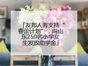 友邦人寿支持“春蕾计划”，向山东250名小学女生发放助学金