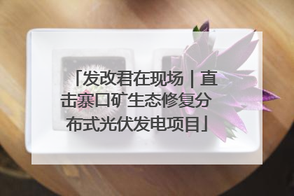 发改君在现场｜直击寨口矿生态修复分布式光伏发电项目