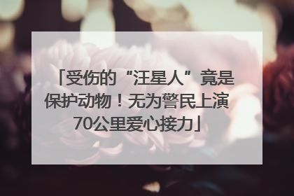 受伤的“汪星人”竟是保护动物！无为警民上演70公里爱心接力
