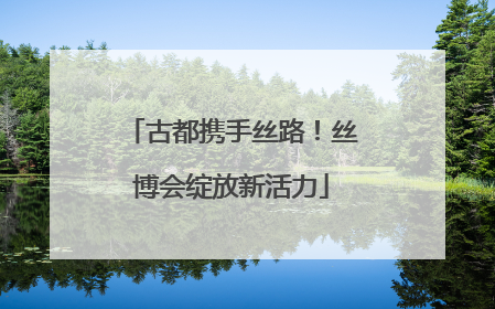 古都携手丝路！丝博会绽放新活力