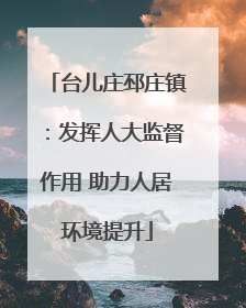 台儿庄邳庄镇：发挥人大监督作用 助力人居环境提升