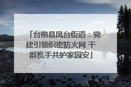 台前县凤台街道：党建引领织密防火网 干群携手共护家园安