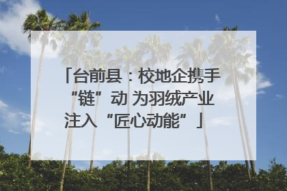 台前县：校地企携手“链”动 为羽绒产业注入“匠心动能”