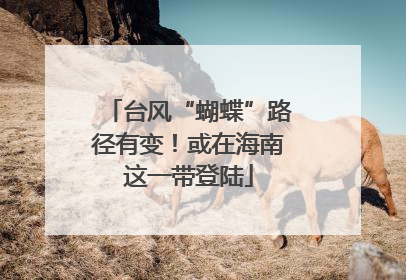 台风“蝴蝶”路径有变！或在海南这一带登陆