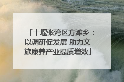 十堰张湾区方滩乡：以调研促发展 助力文旅康养产业提质增效
