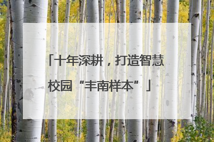 十年深耕，打造智慧校园“丰南样本”