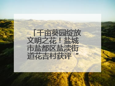 千亩葵园绽放文明之花！盐城市盐都区盐渎街道花吉村获评“全国文明村”