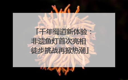 千年蜀道新体验：非遗鱼灯首次亮相 徒步挑战再掀热潮