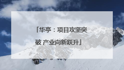 华亭：项目攻坚突破 产业向新跃升