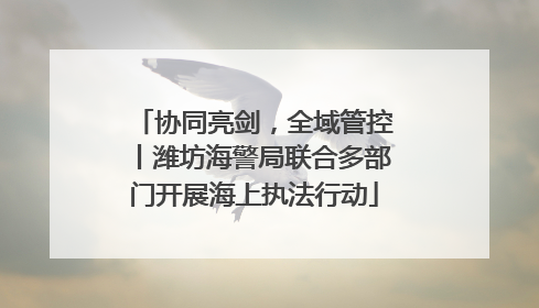 协同亮剑，全域管控丨潍坊海警局联合多部门开展海上执法行动