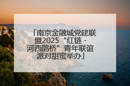 南京金融城党建联盟2025“红链・河西鹊桥”青年联谊派对甜蜜举办