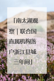 南太湖观察｜联合国直属机构落户浙江县城三年间