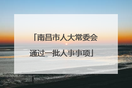 南昌市人大常委会通过一批人事事项