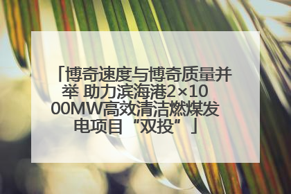 博奇速度与博奇质量并举 助力滨海港2×1000MW高效清洁燃煤发电项目“双投”