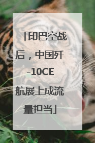 印巴空战后，中国歼-10CE航展上成流量担当