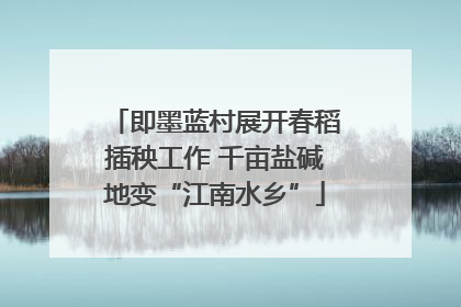 即墨蓝村展开春稻插秧工作 千亩盐碱地变“江南水乡”